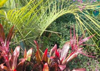 Bayou City Beautiful Purple Tropicals